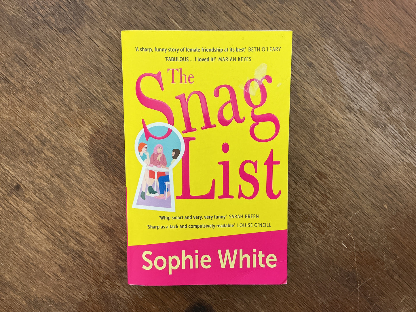 The Snag List: A smart and laugh-out-loud funny novel about female friendship by Sophie White