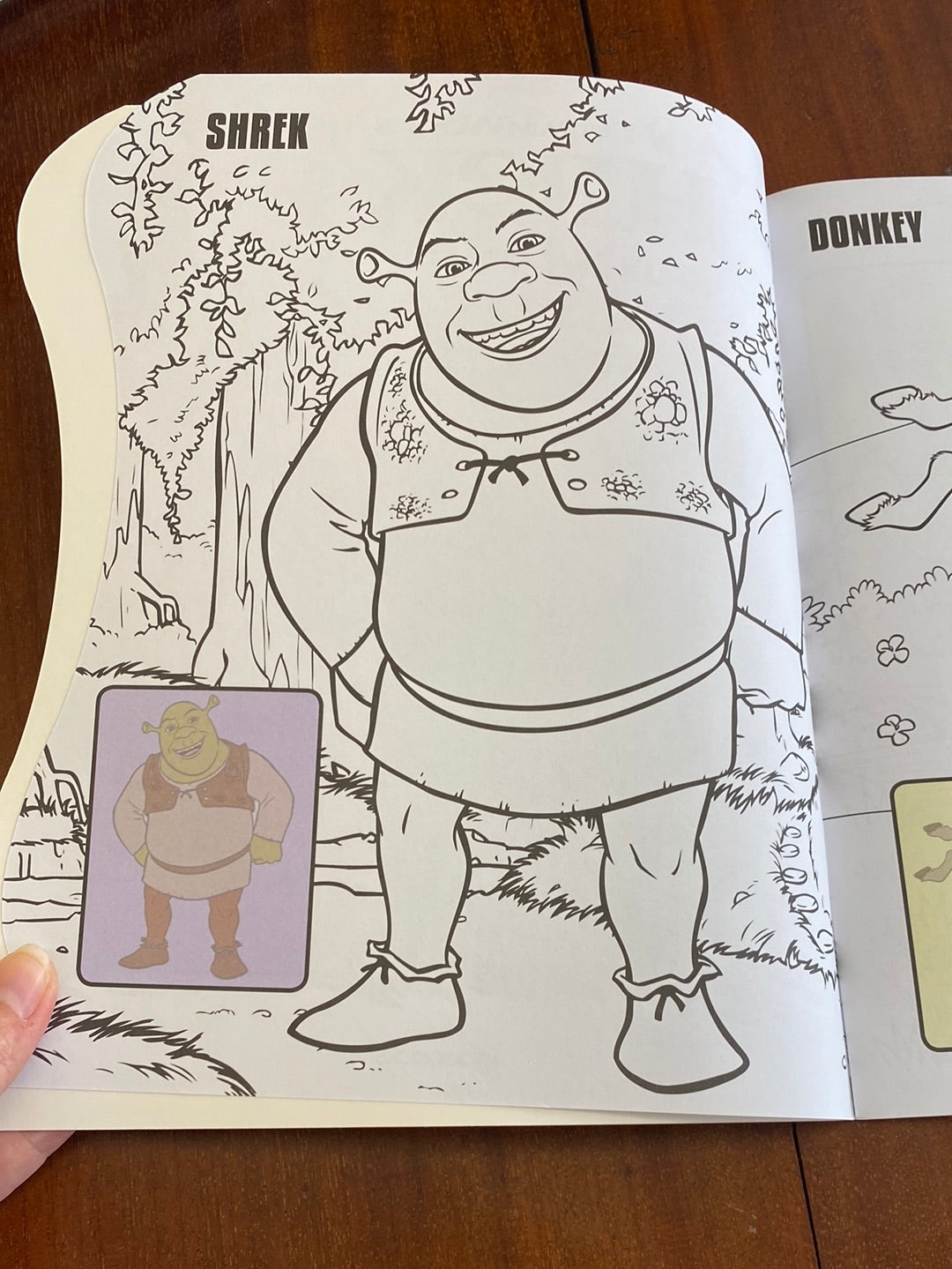 Shrek Colouring Book