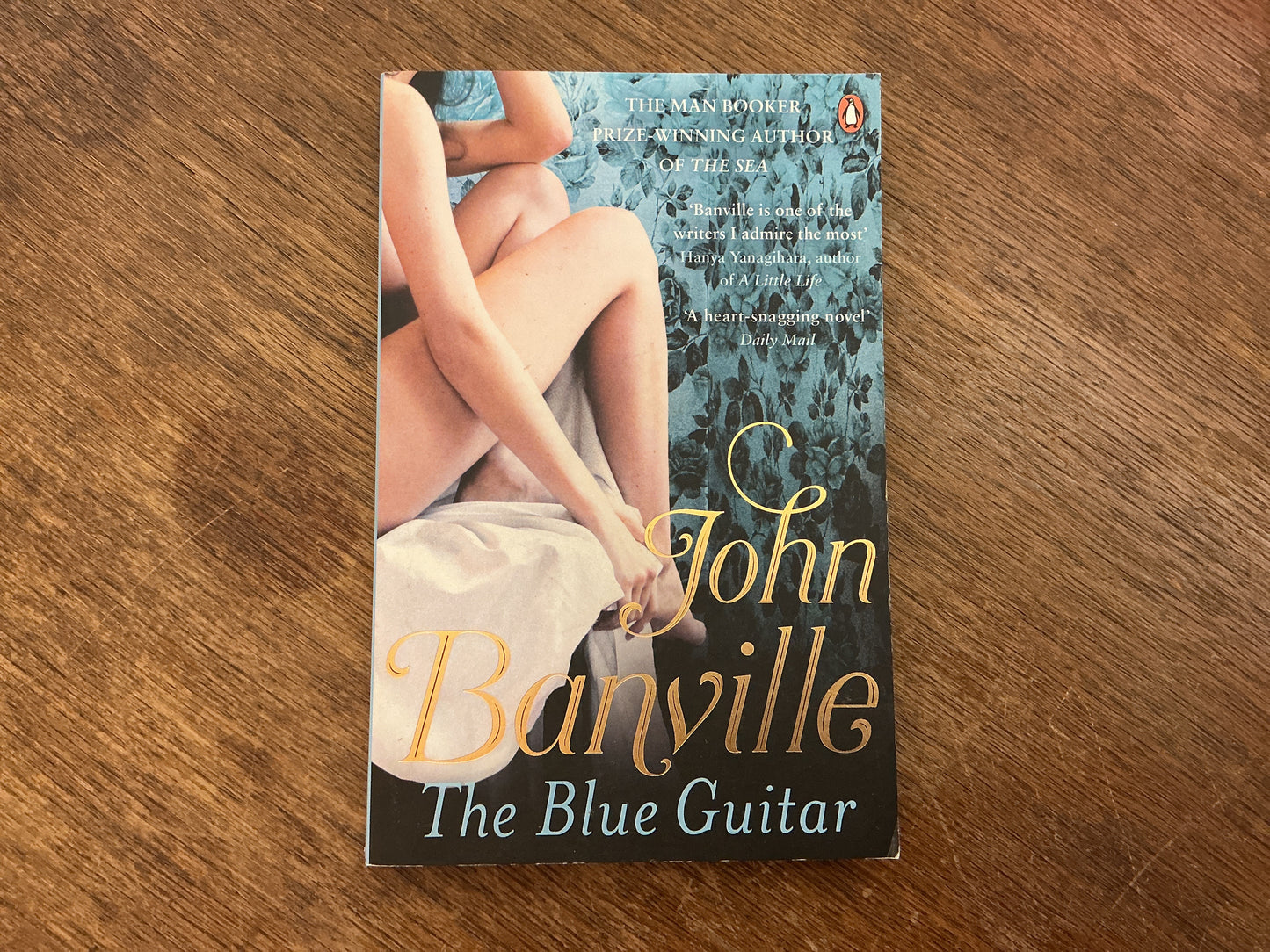 The Blue Guitar by John Banville