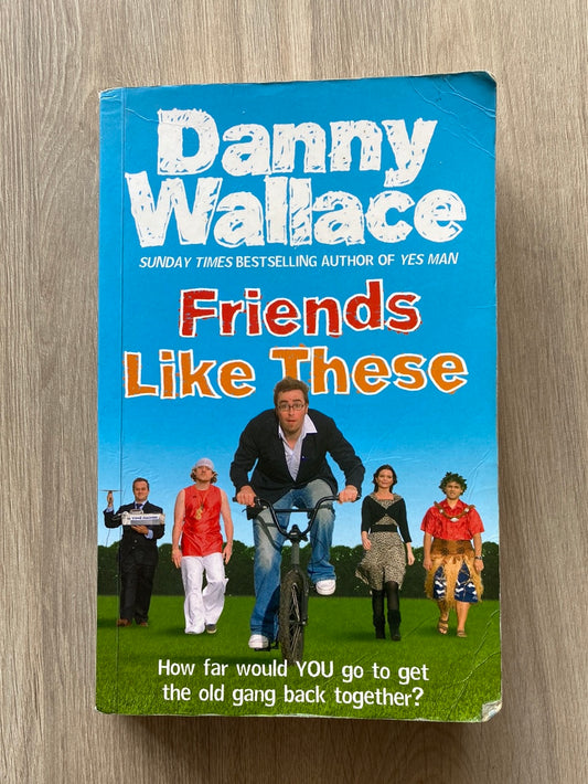 Friends Like These by Danny Wallace