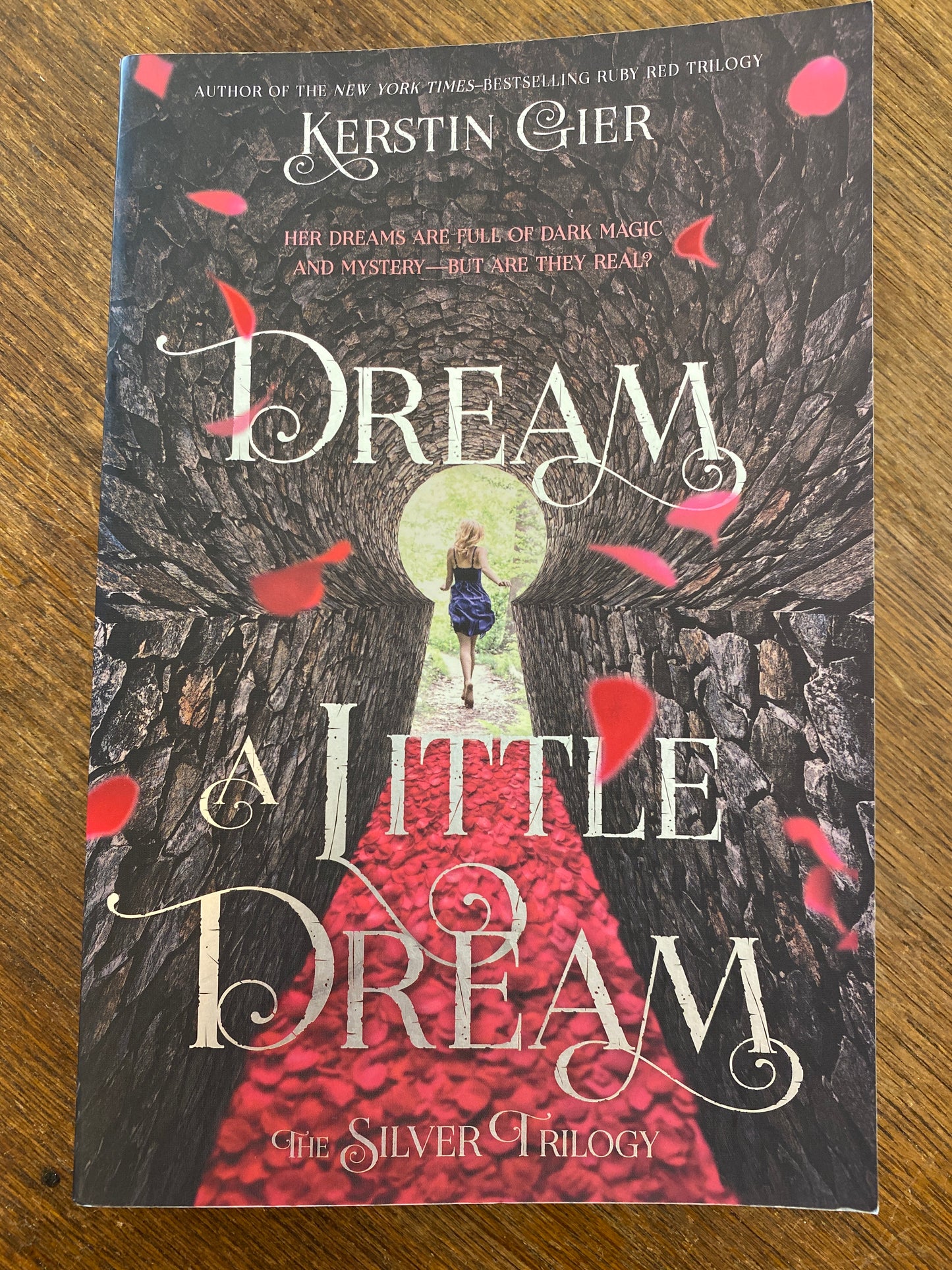 Dream a Little Dream by Kerstin Gier