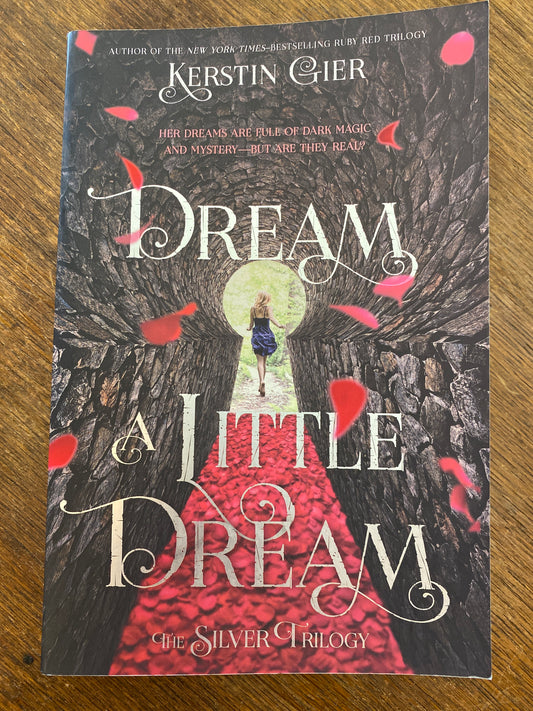 Dream a Little Dream by Kerstin Gier