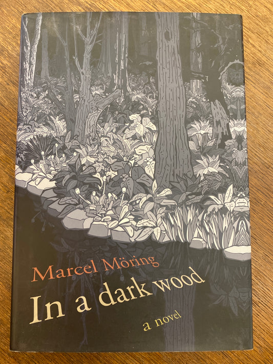 In a Dark Wood by Marcel Möring