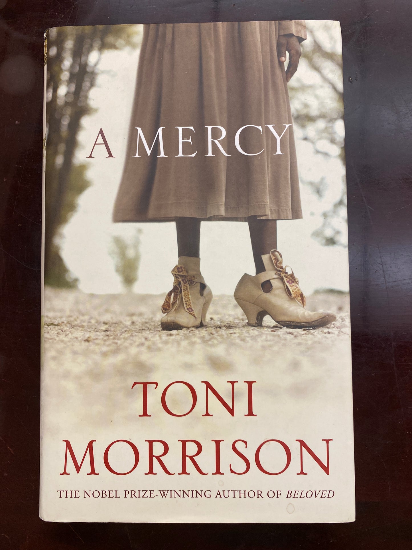 A Mercy by Toni Morrison