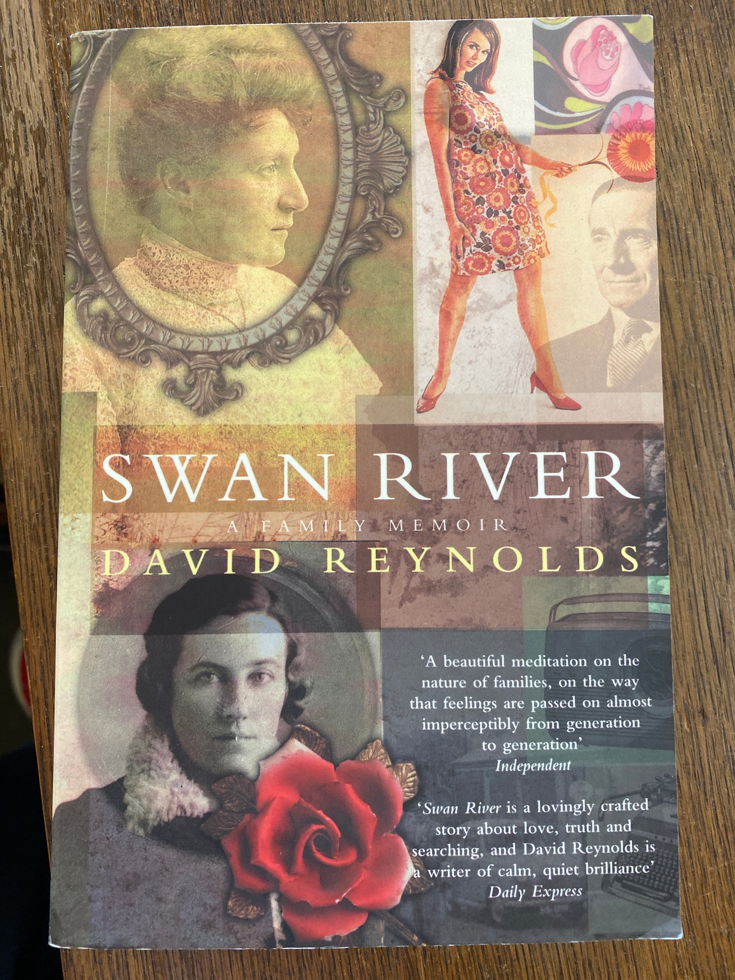 Swan River: a family memoir