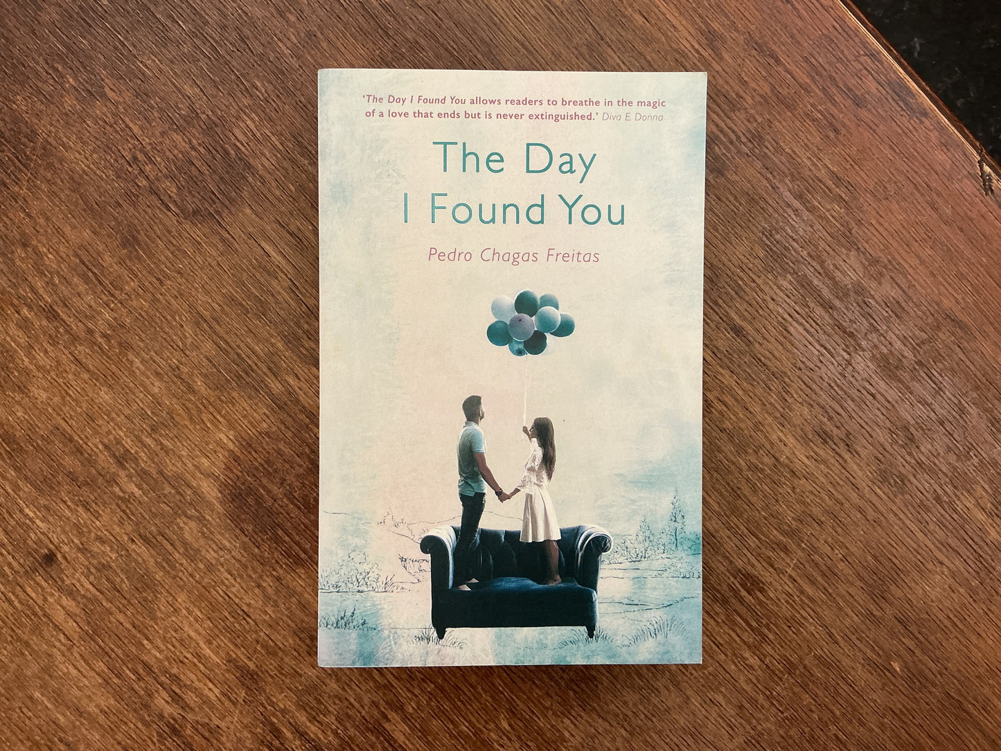 The Day I Found You by Pedro Chagas Freitas