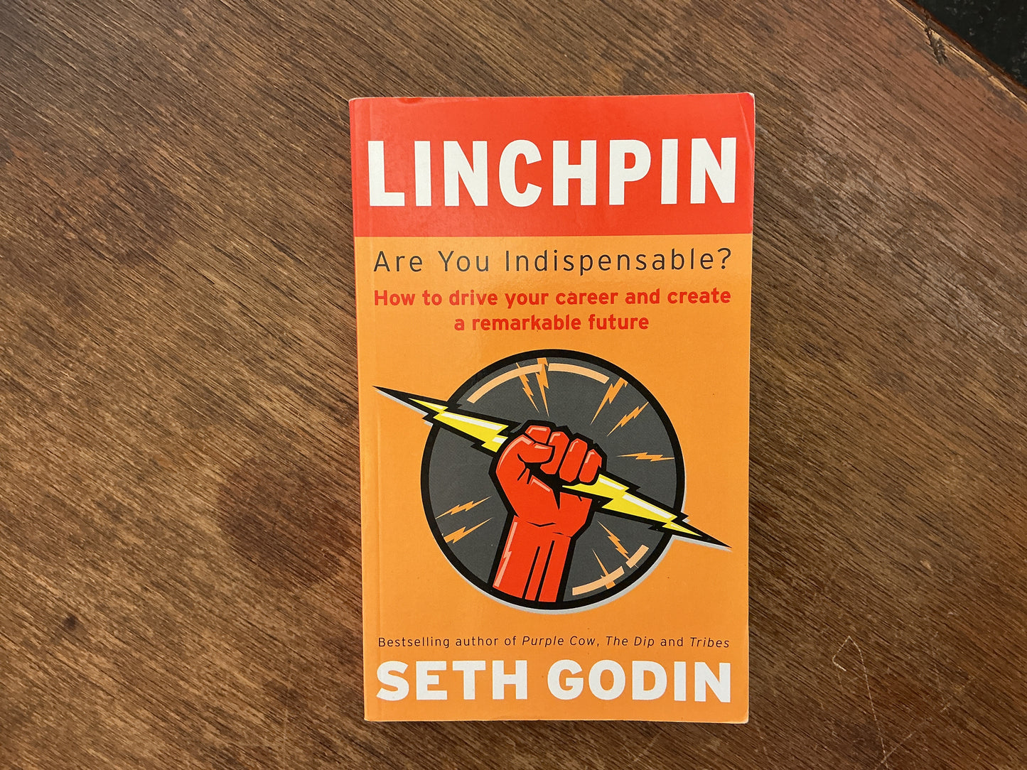Linchpin: Are You Indispensable? How to drive your career and create a remarkable future by Seth Godin
