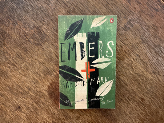 Embers by Matt Lawrence Leach