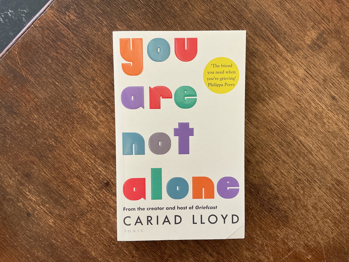 You Are Not Alone by Cariad Lloyd