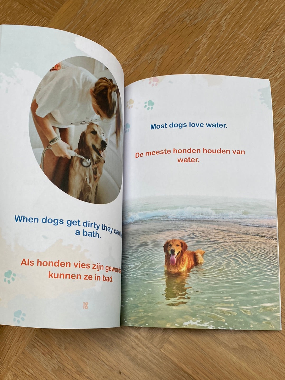 Dogs/Honden- a bilingual book in English and Dutch