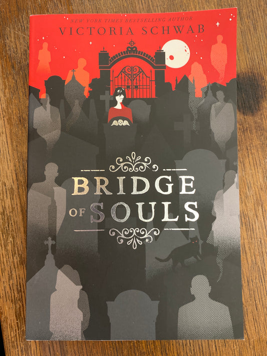 Bridge of Souls: 3 (City of Ghosts) by Victoria Schwab