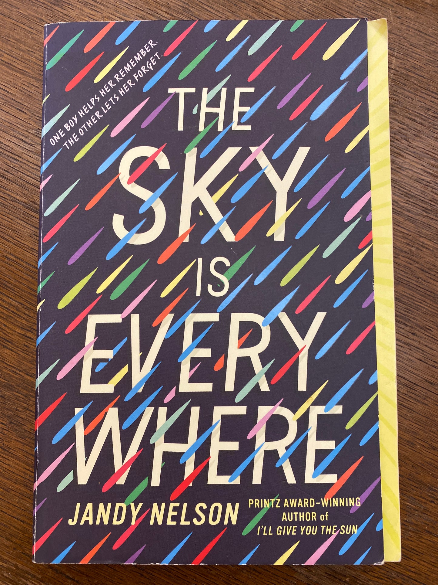 The Sky Is Everywhere by Jandy Nelson