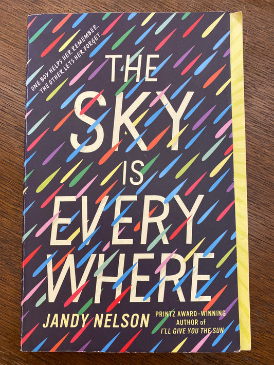 The Sky Is Everywhere by Jandy Nelson