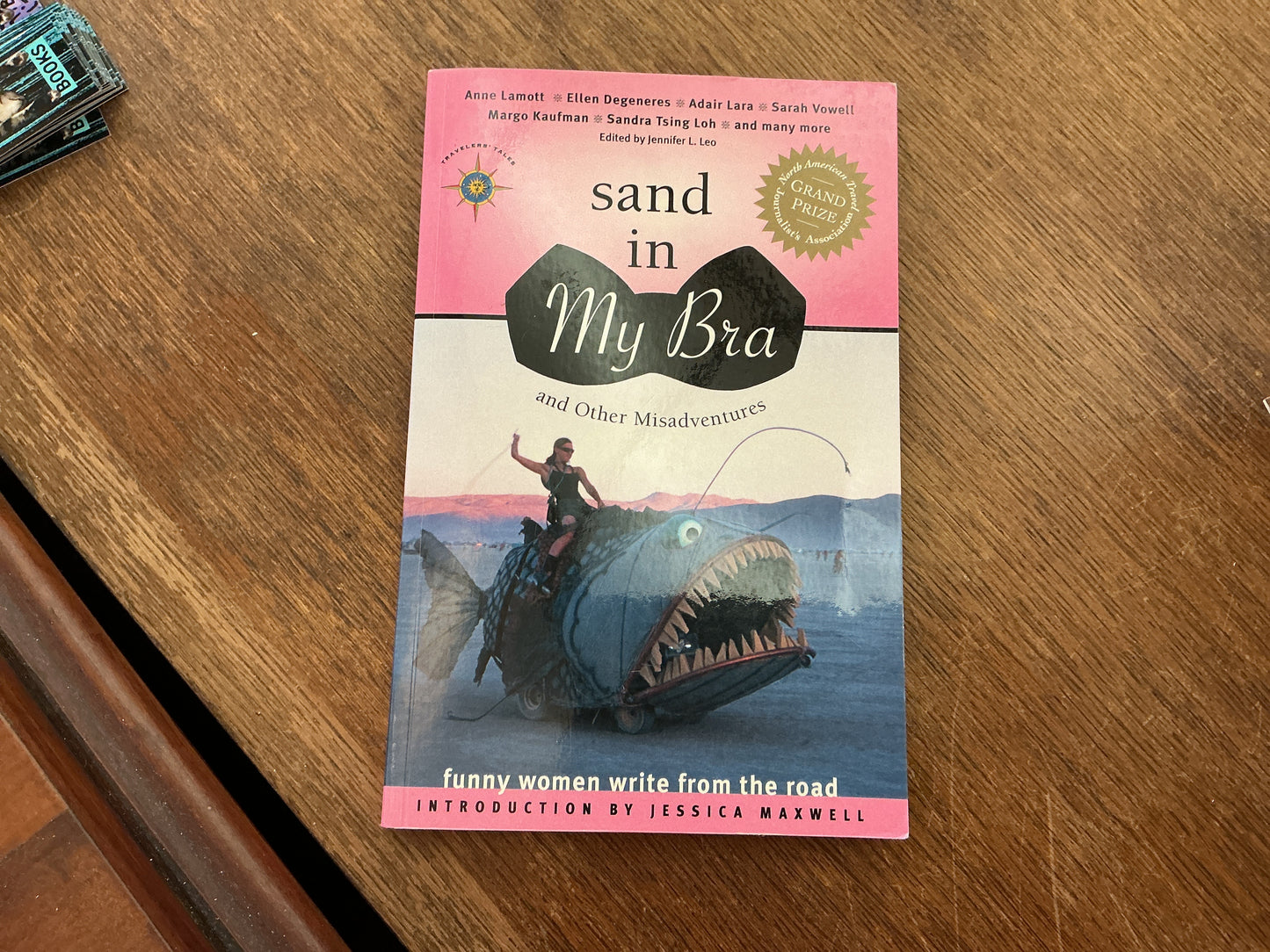 Sand in My Bra and Other Misadventures: Funny Women Write from the Road