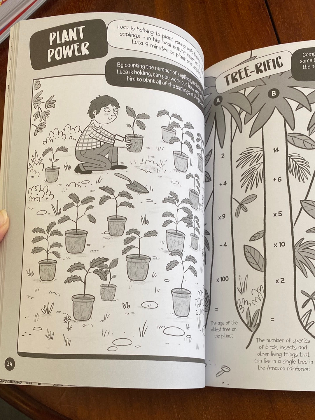 The Green Rebel activity book