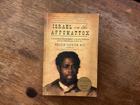 Israel on the Appomattox: A Southern Experiment in Black Freedom from the 1790s Through the Civil War