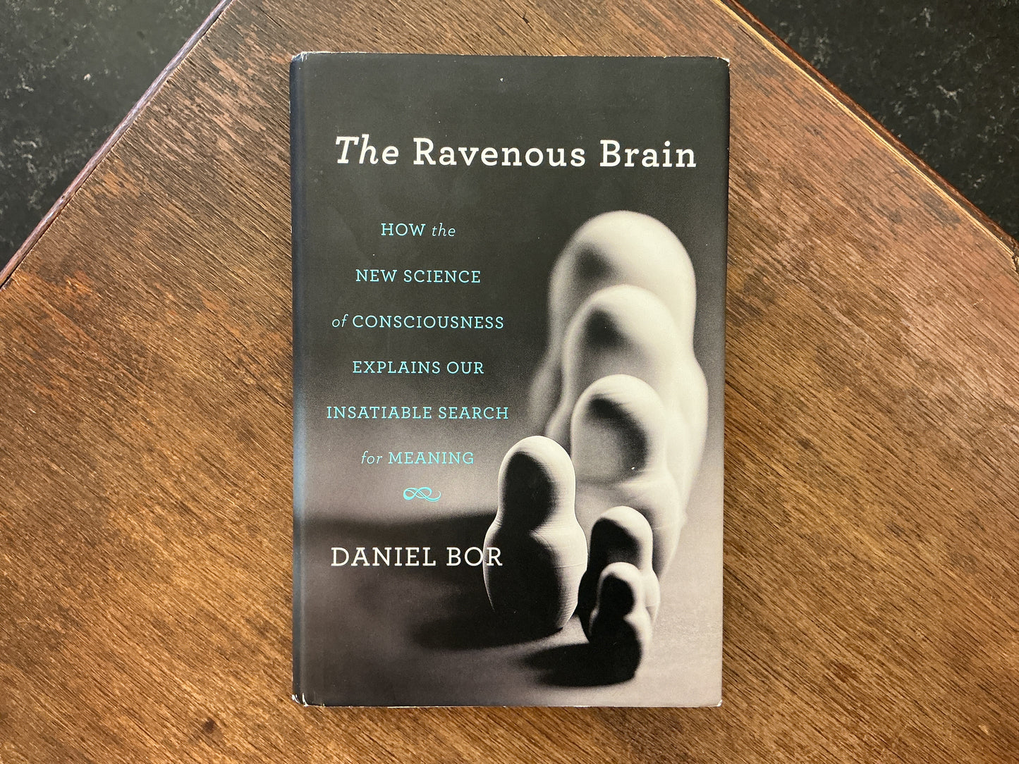 The Ravenous Brain: How the New Science of Consciousness Explains Our Insatiable Search for Meaning by Daniel Bor