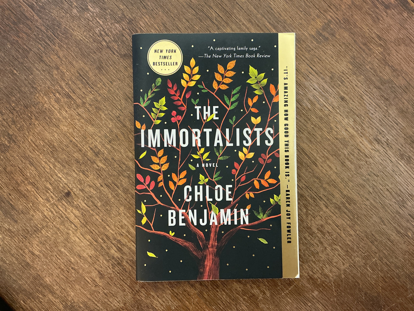 The Immortalists by Chloe Benjamin