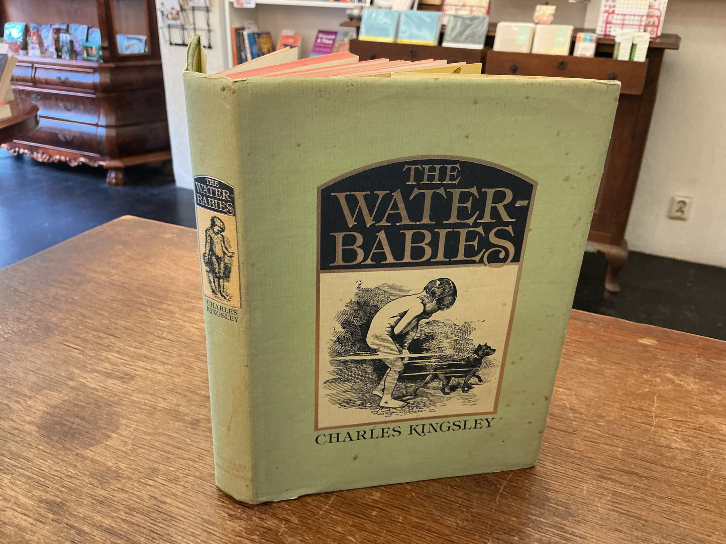 The Waterbabies by Charles Kingsley 1979 edition