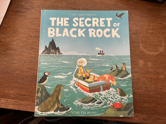 The Secret Of Black Rock by Joe Todd-Stanton