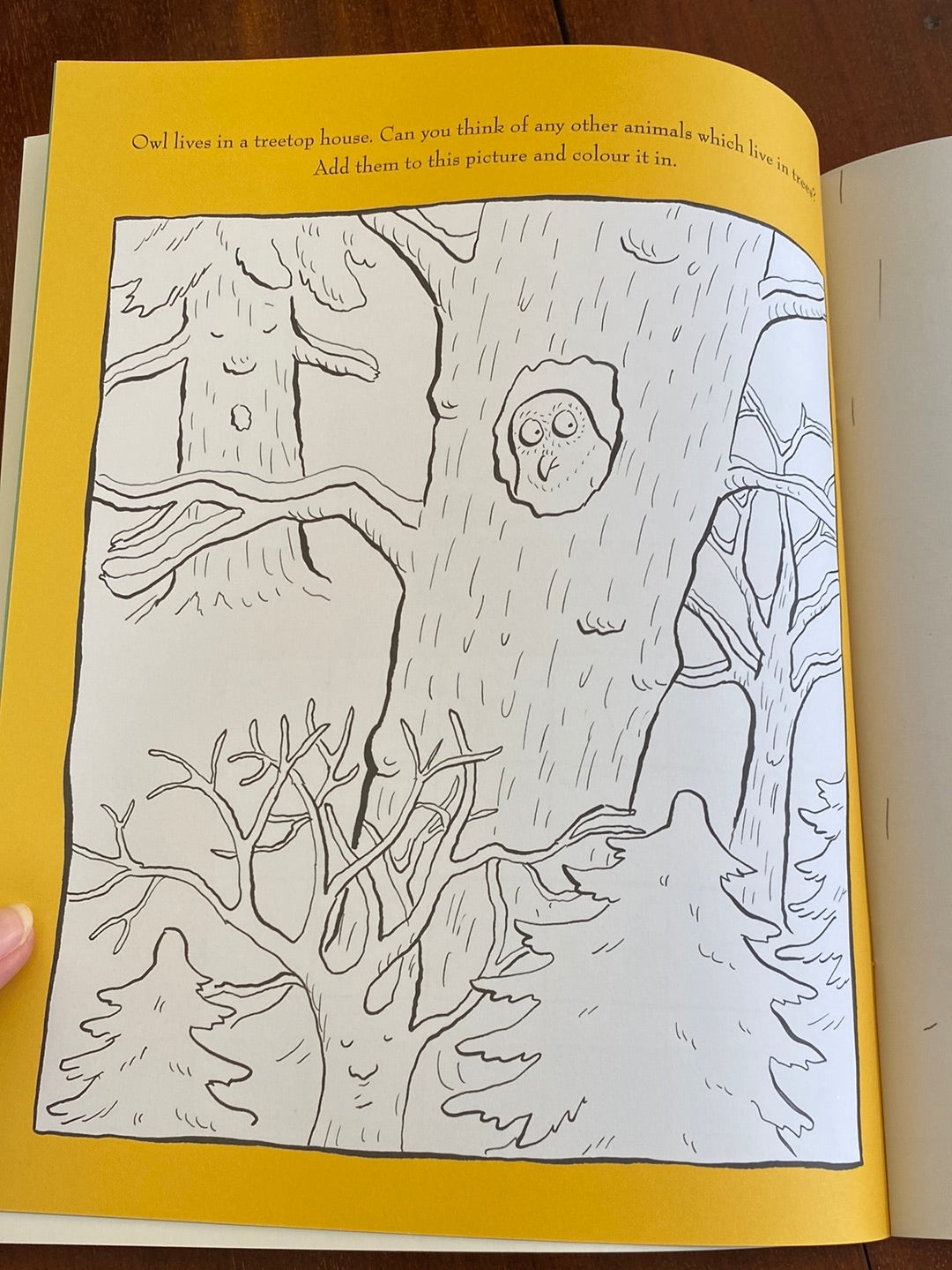 The Gruffalo’s Child Colouring book