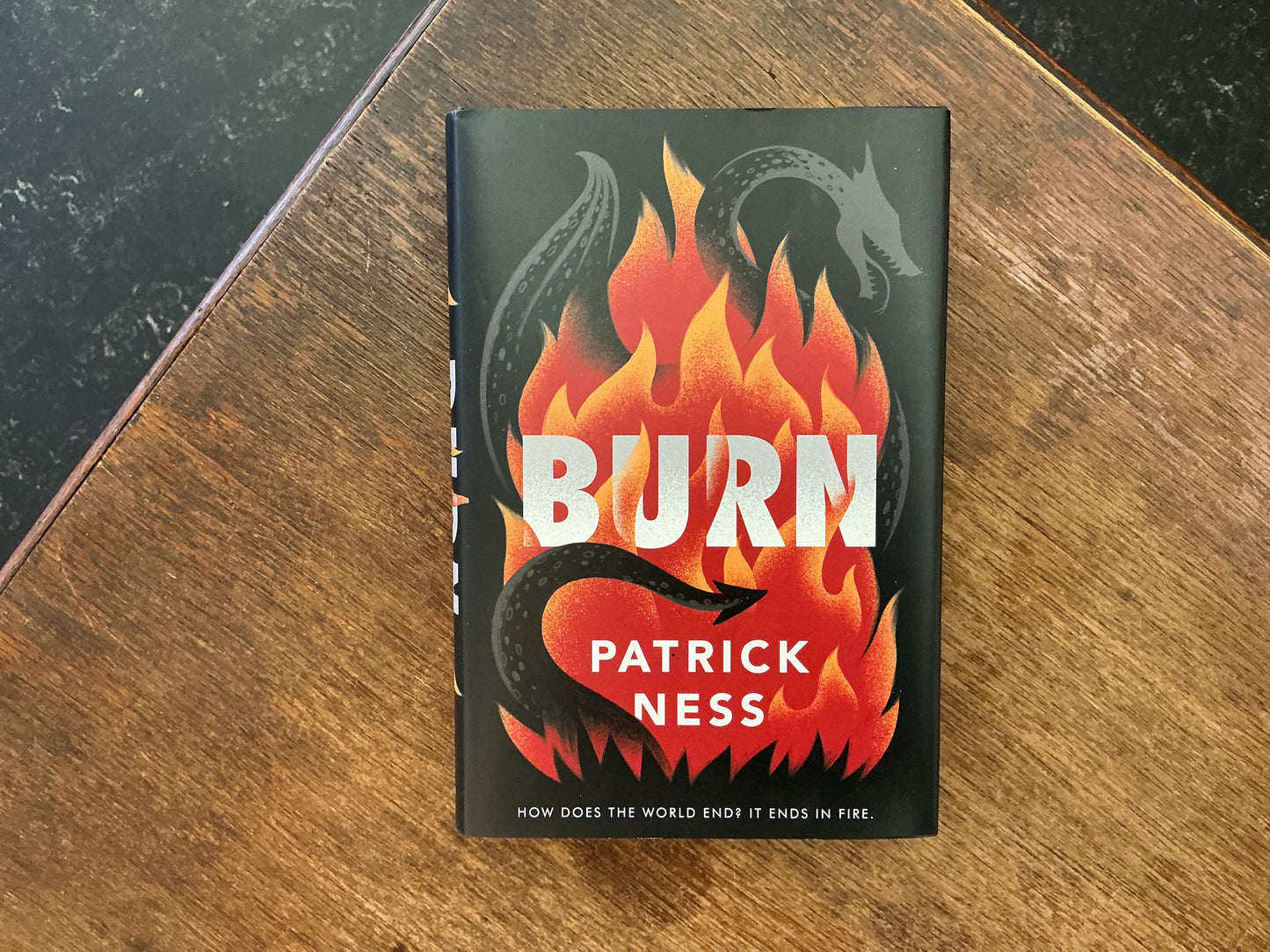 Burn by Patric Ness