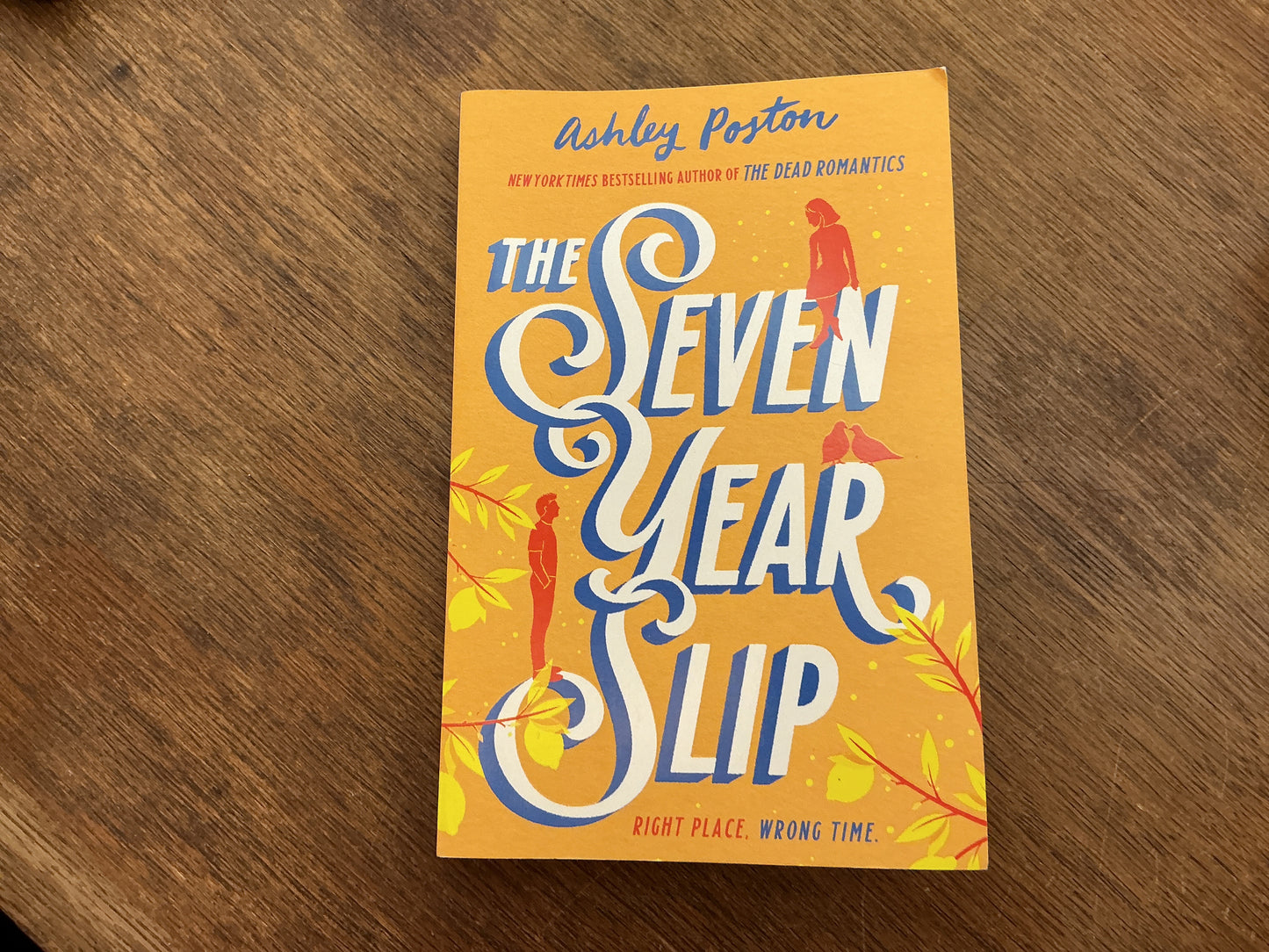 The Seven Year Slip by Ashley Poston