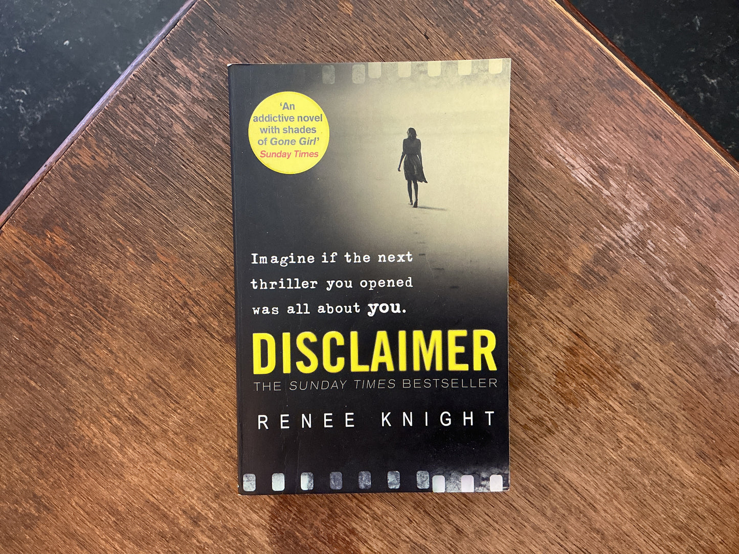 Disclaimer by Renee Knight by Rene Knight