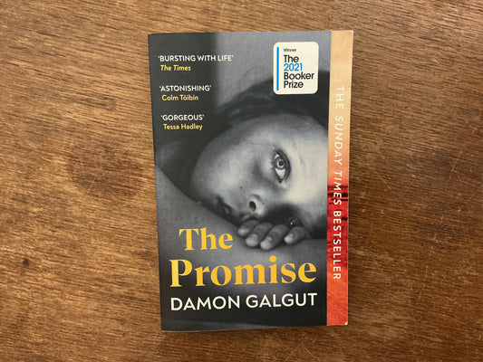 The Promise by Damon Galgut