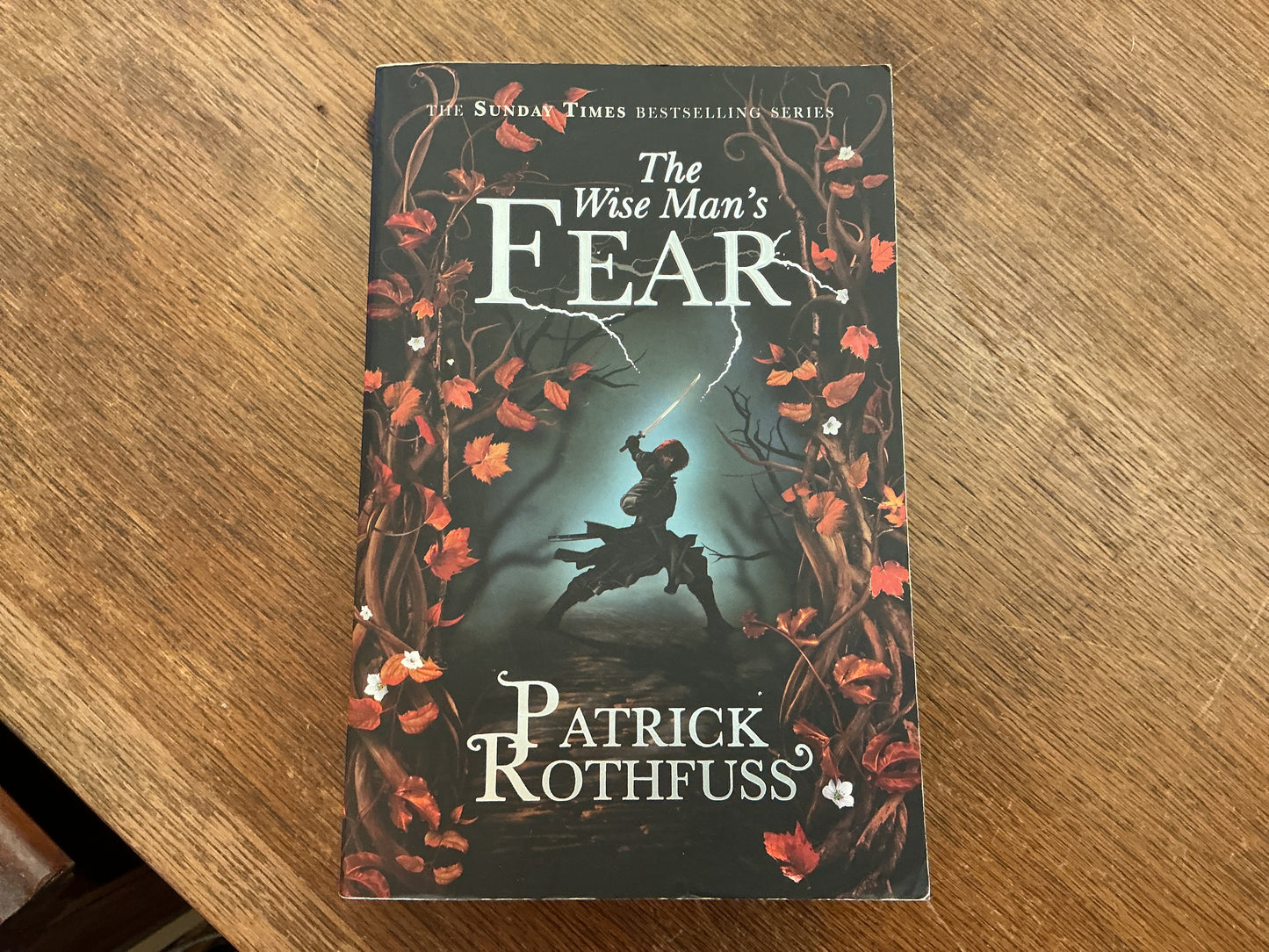 The Wise Man's Fear (book 2) by Patrick Rothfuss