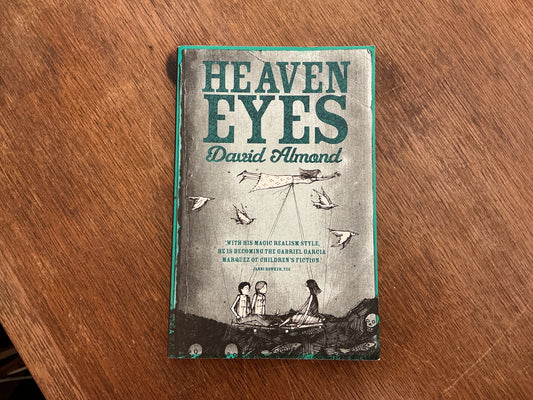 Heaven Eyes by David Almond