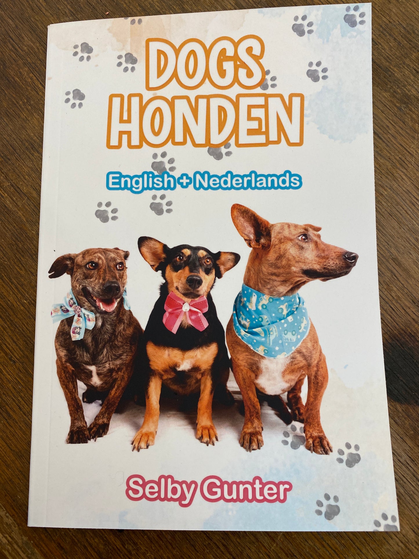 Dogs/Honden- a bilingual book in English and Dutch