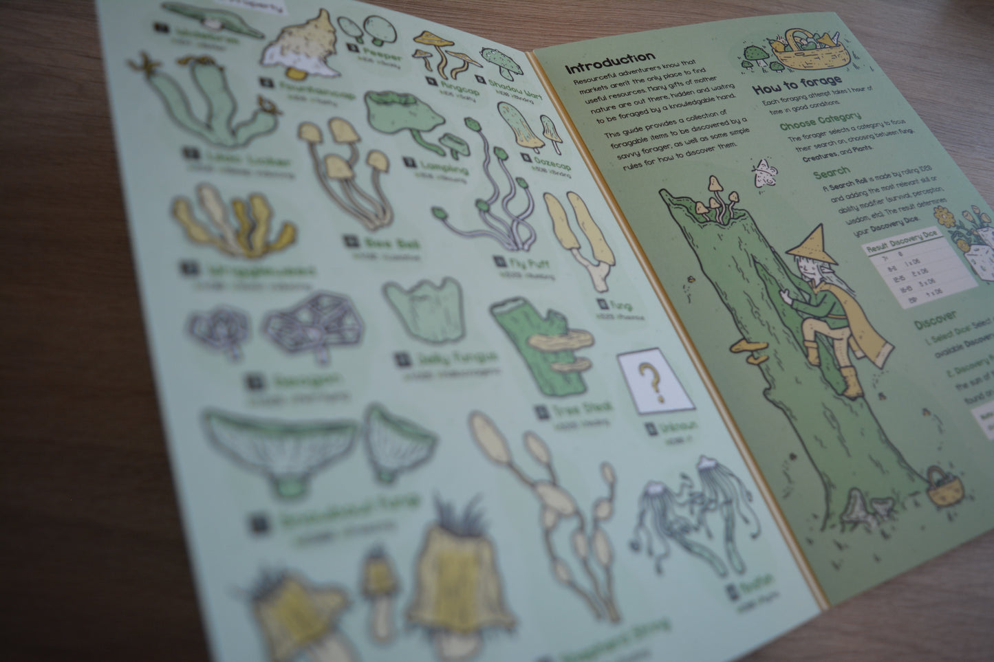 Slowquest Adventure Booklet Bundle #5