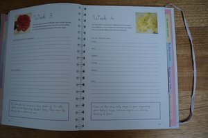 My Pregnancy Journal