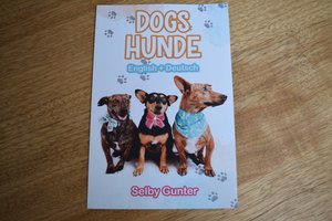 Dogs / Hunde