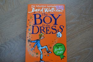 The Boy in the Dress by David Walliams