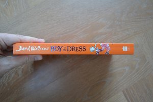 The Boy in the Dress by David Walliams