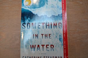 Something in the Water by Catherine Steadman