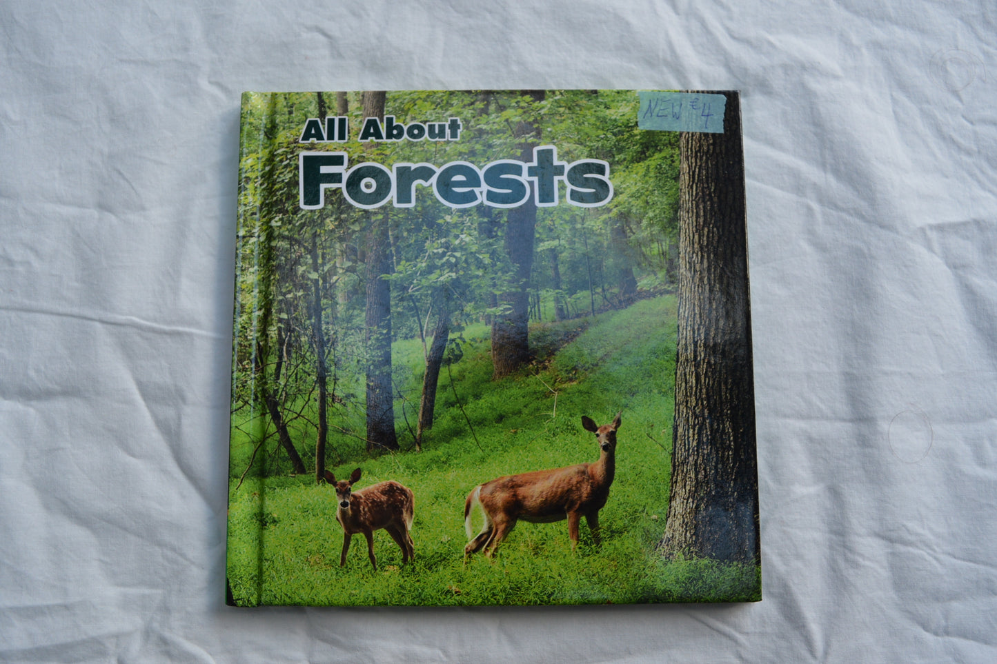 All About Forests