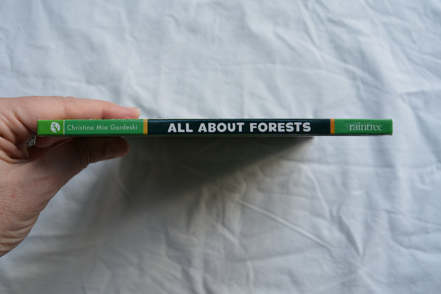 All About Forests