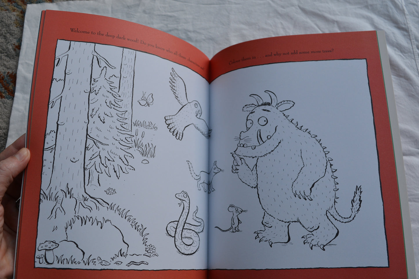 The Gruffalo Activity Book