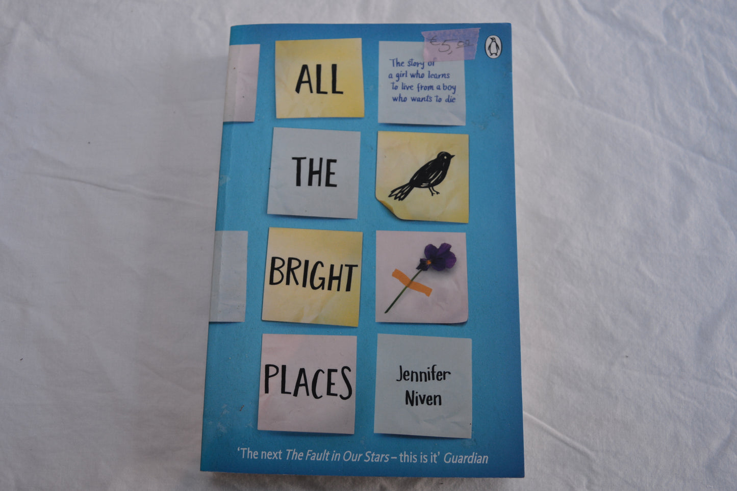 All The Bright Place by Jennifer Niven