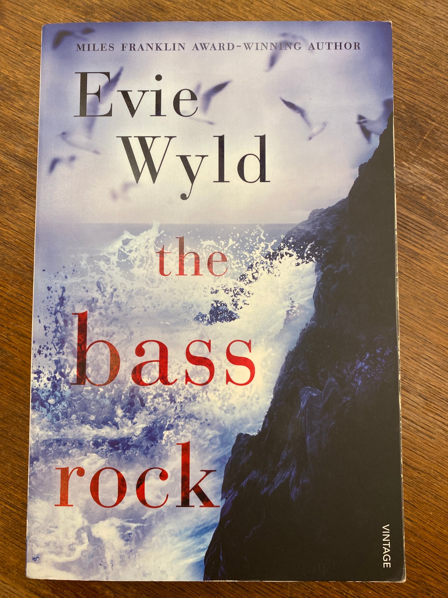 The Bass Rock by Evie Wyld