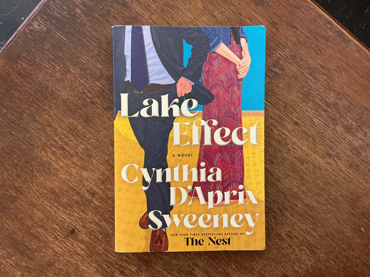 Lake Effect by Cynthia D'Aprix Sweeney