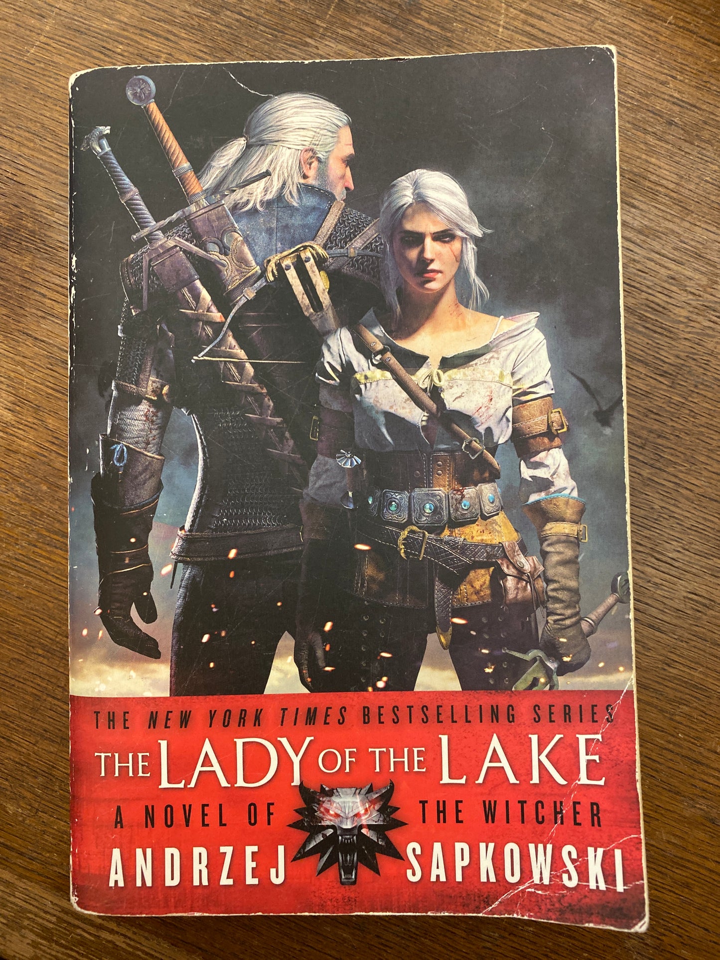 The Lady of the Lake (The Witcher 5) by Andrzej Sapkowski