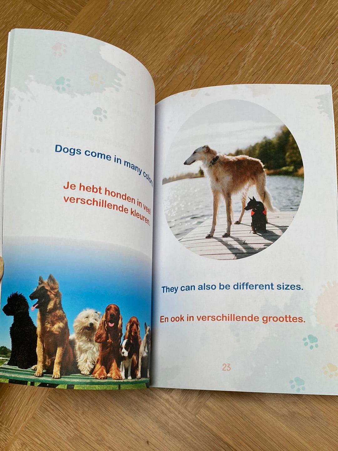 Dogs/Honden- a bilingual book in English and Dutch