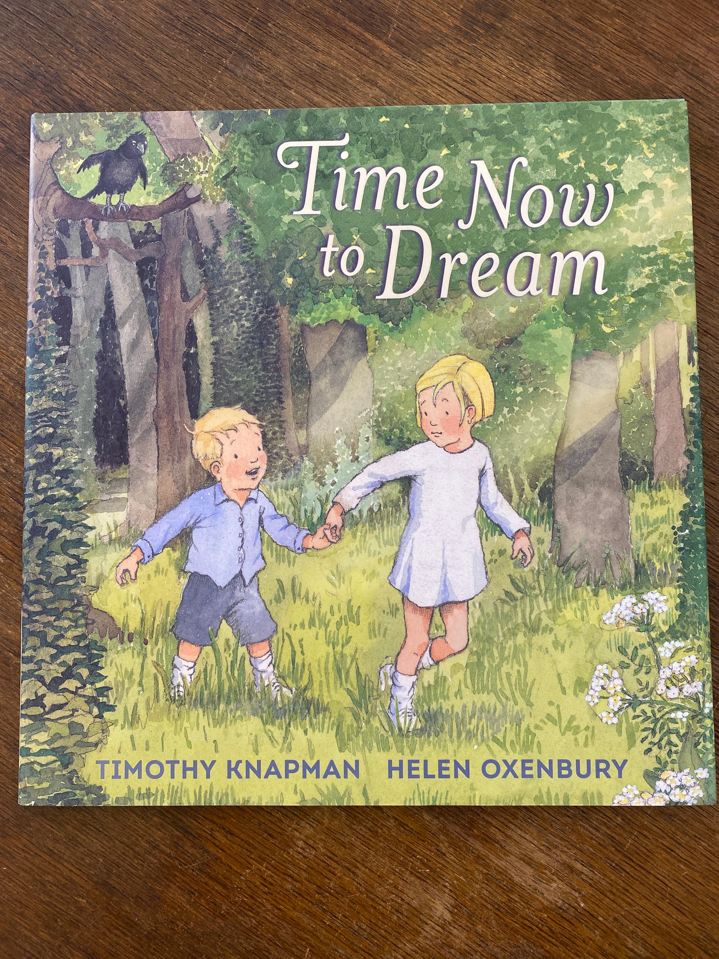 Time Now to Dream by Timothy Knapman