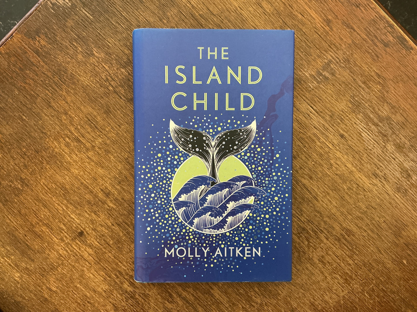 The Island Child by Molly Autken