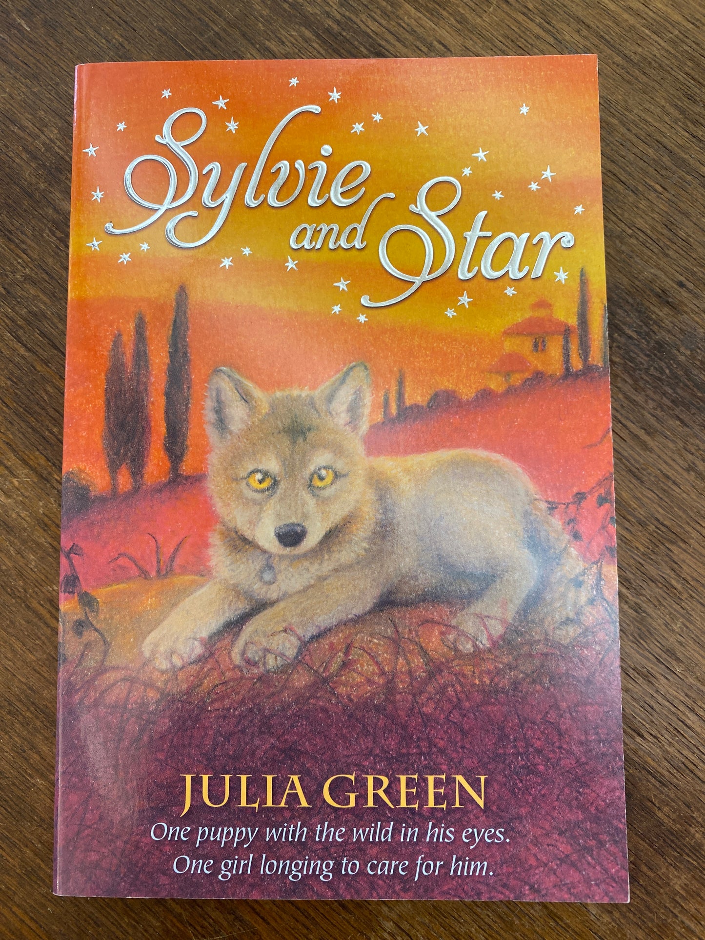 Sylvie and Star by Julia Green