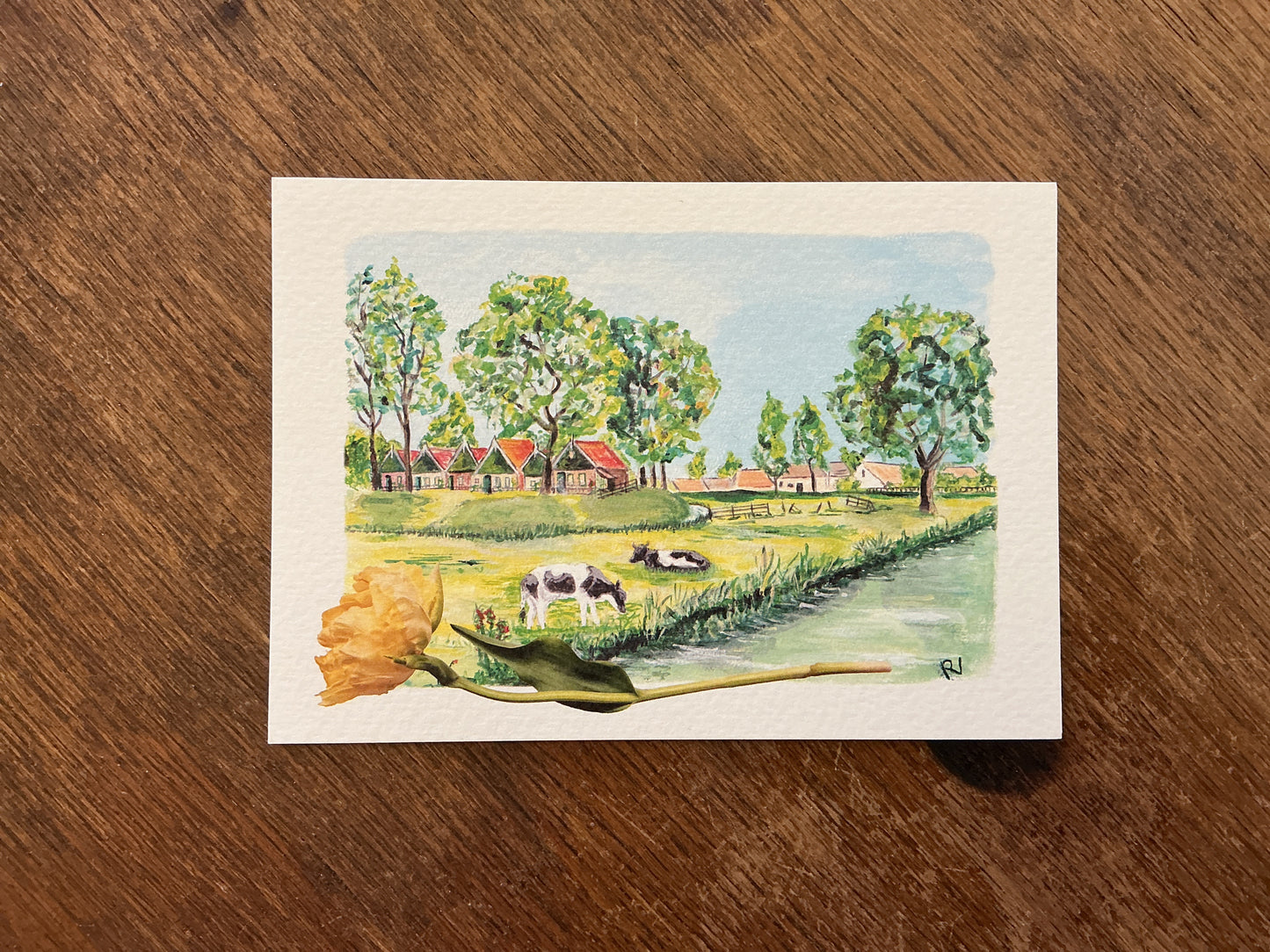 Cows in a field postcard